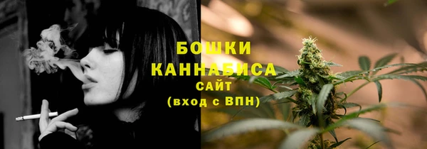 гашик Липки