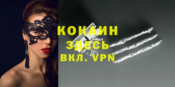 гашик Липки