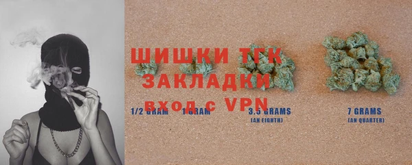 гашик Липки
