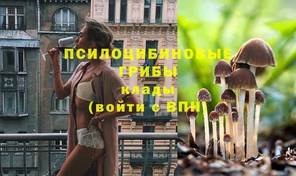 бошки Братск